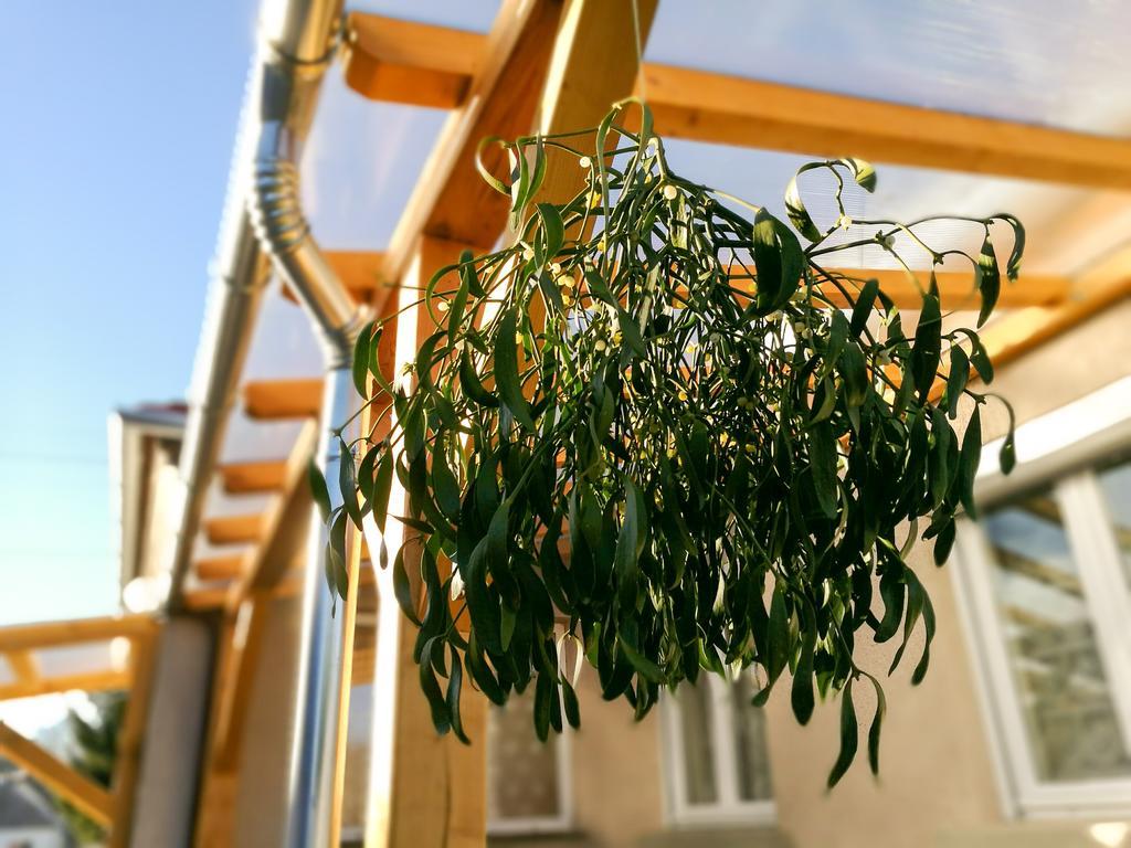 Fagyoengy Apartment Sárvár Екстериор снимка